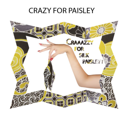 Crazy For Paisley